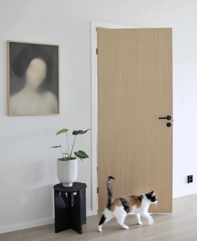 Kompakt-Eiked├©r-fra-va╠er-influencer-Elisabeth-Jakobsen.-768x939